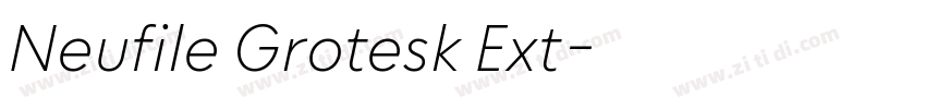 Neufile Grotesk Ext字体转换